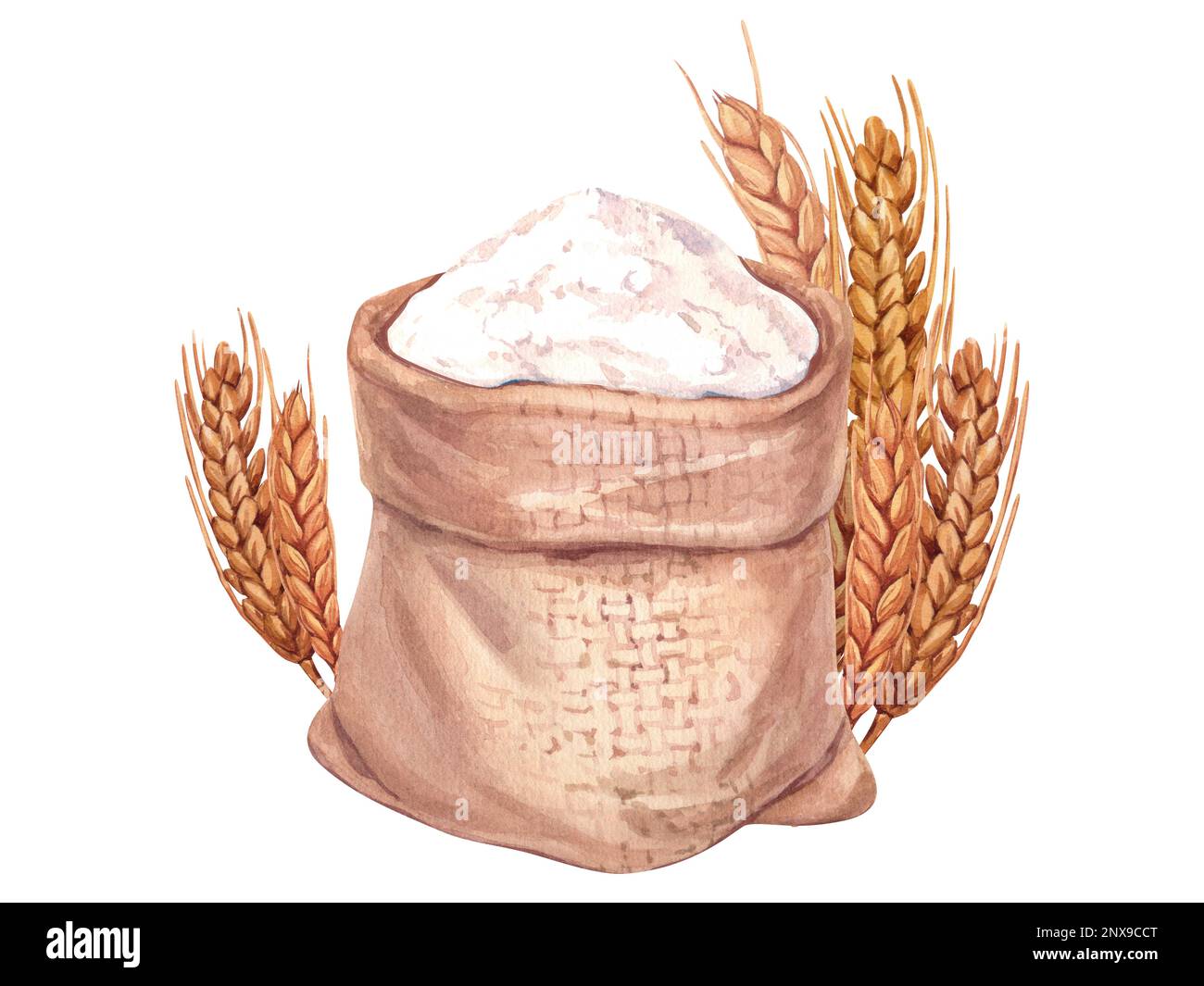 Watercolor flour bag and wheat ear. Hand drawn illustration, isolated