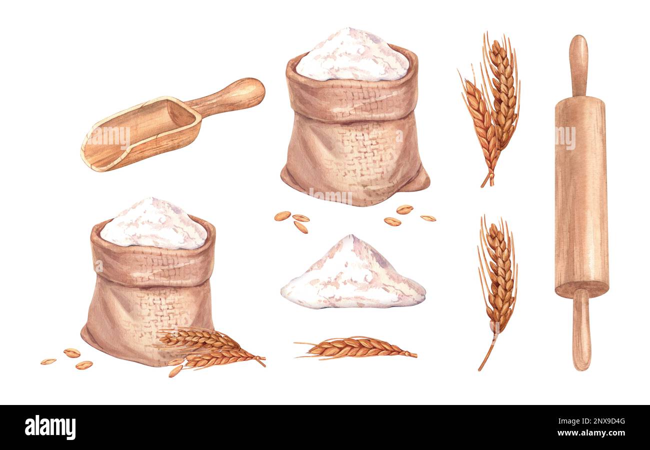 Watercolor set flour bag and wheat ear, scoop, rolling pin. Hand drawn