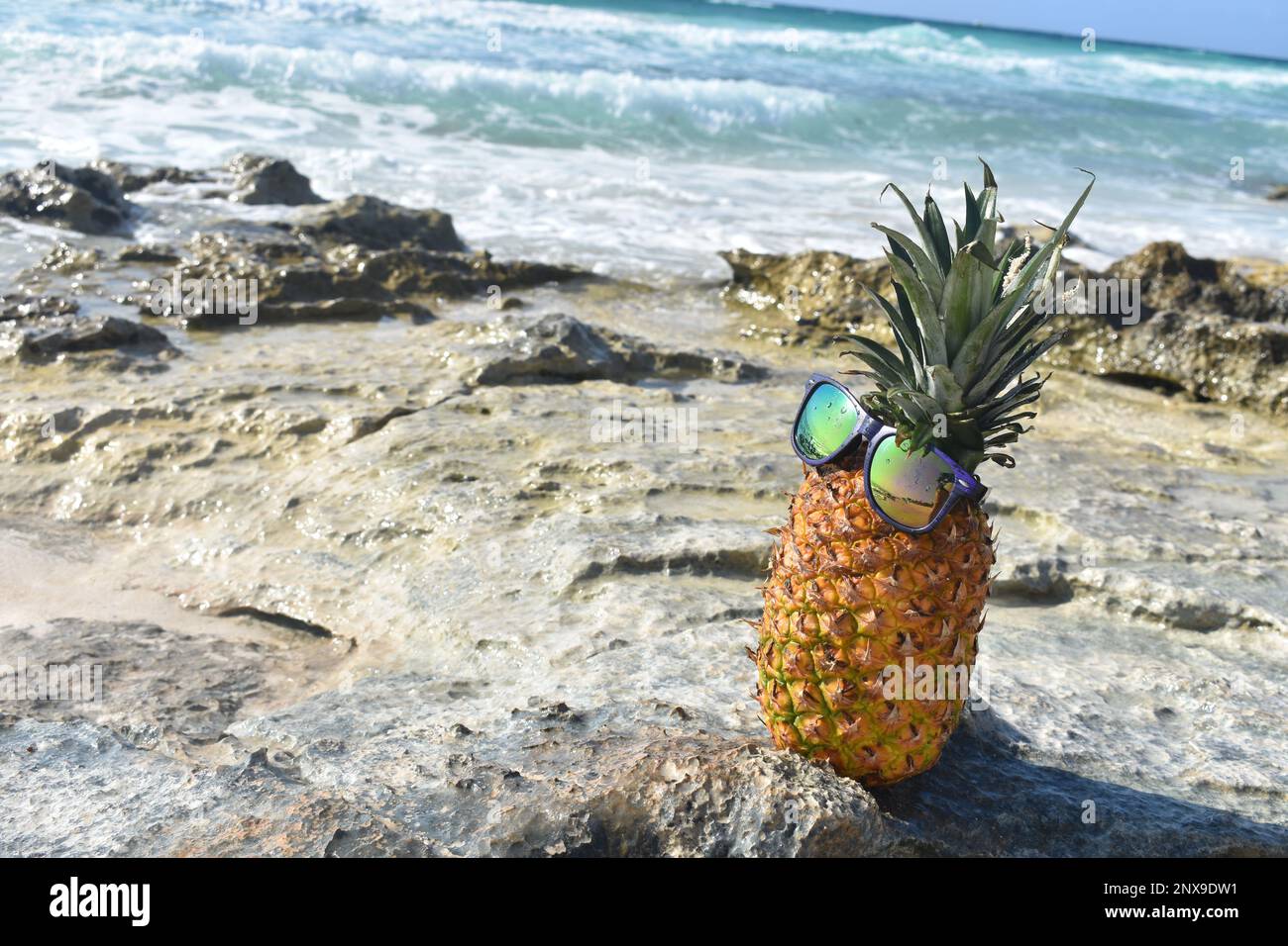 Pineapple on the beach and rocks Stock Photo Alamy