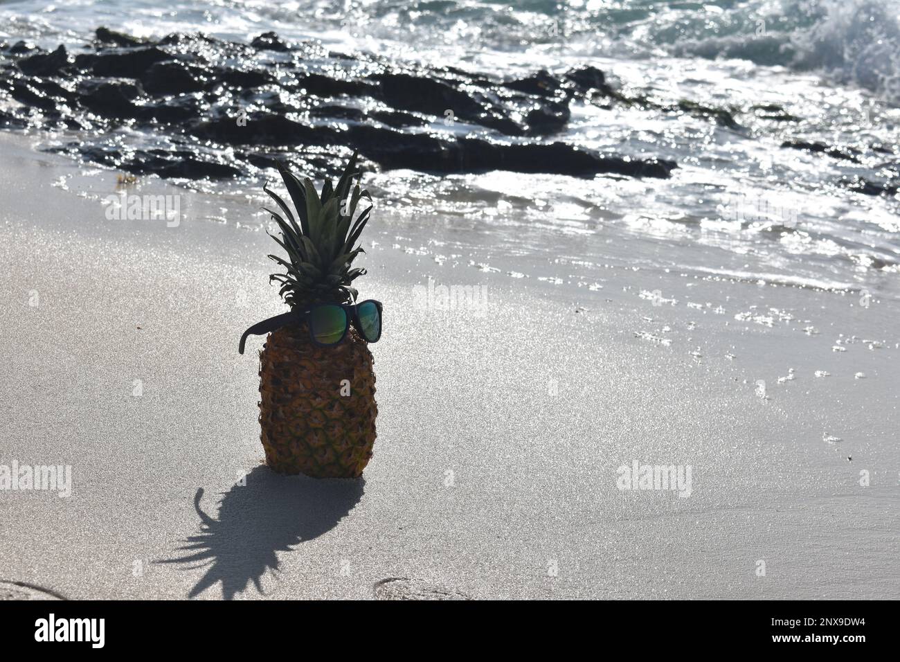Pineapple on the beach and rocks Stock Photo Alamy