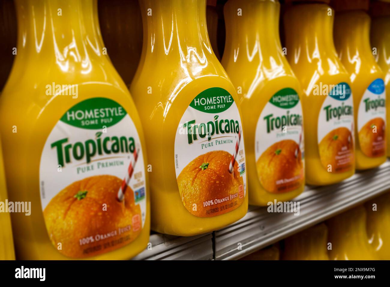 Bottles of Tropicana orange juice are seen in a supermarket refrigerator case in New York on Tuesday, February 21, 2023. Florida orange production is reported to be down 61% compared to last year, ergo prices have gone up. Tropicana is owned by PAI Partners with 39% still retained by Pepsico. (© Richard B. Levine) Stock Photo