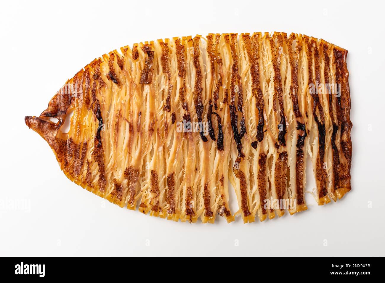 Grilled Squid Body. Dried Squid Grilled. soft and chewy food Stock