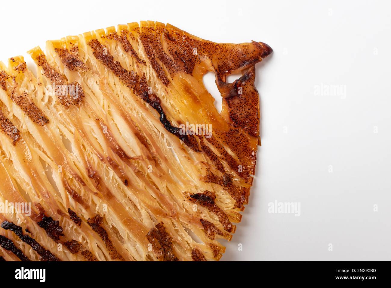 Grilled Squid Body. Dried Squid Grilled. soft and chewy food Stock