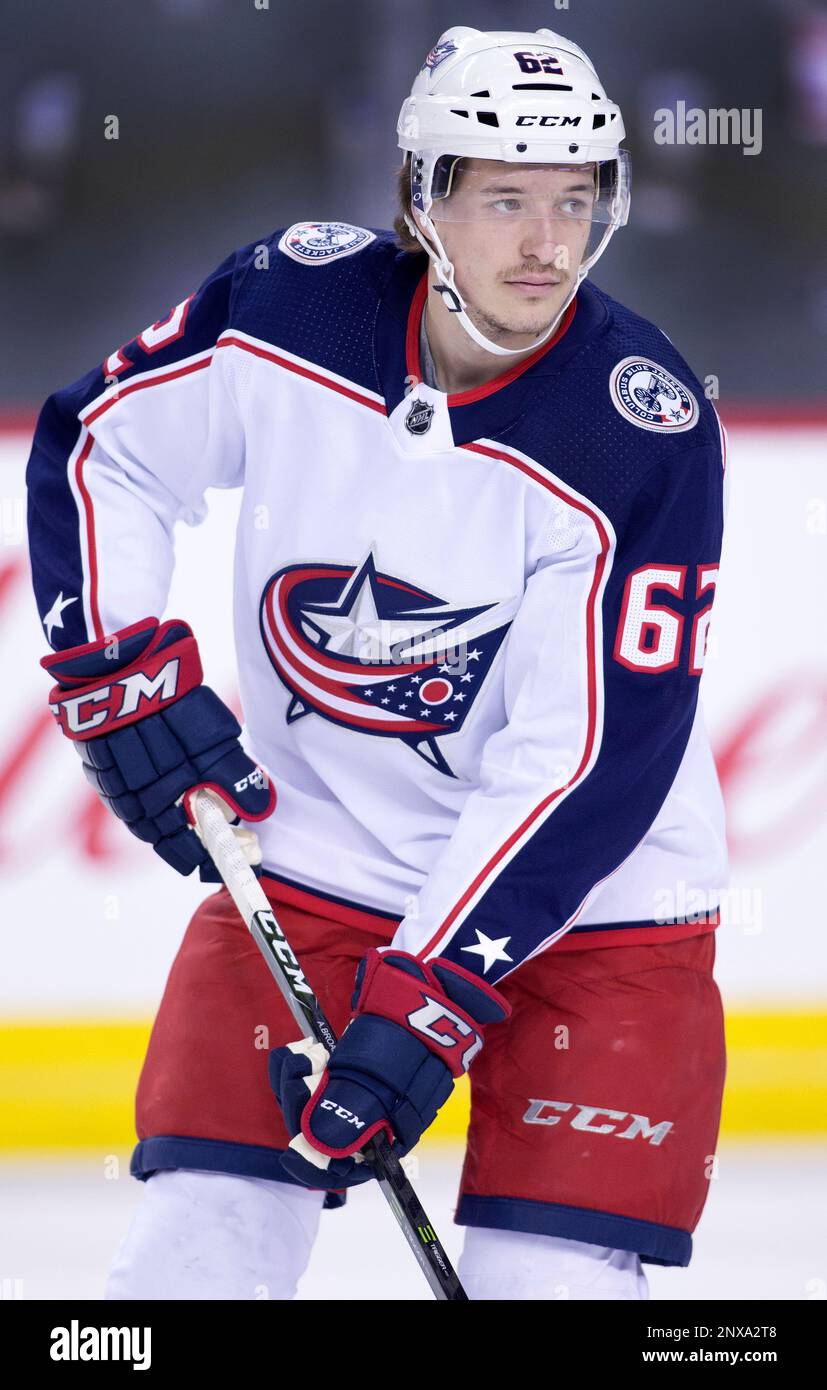 NHL player profile photo on Columbus Blue Jackets player Alex