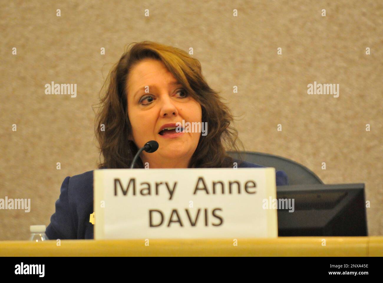 Nevada County Clerk/Recorder challenger Mary Anne Davis answers questions from the audience and
