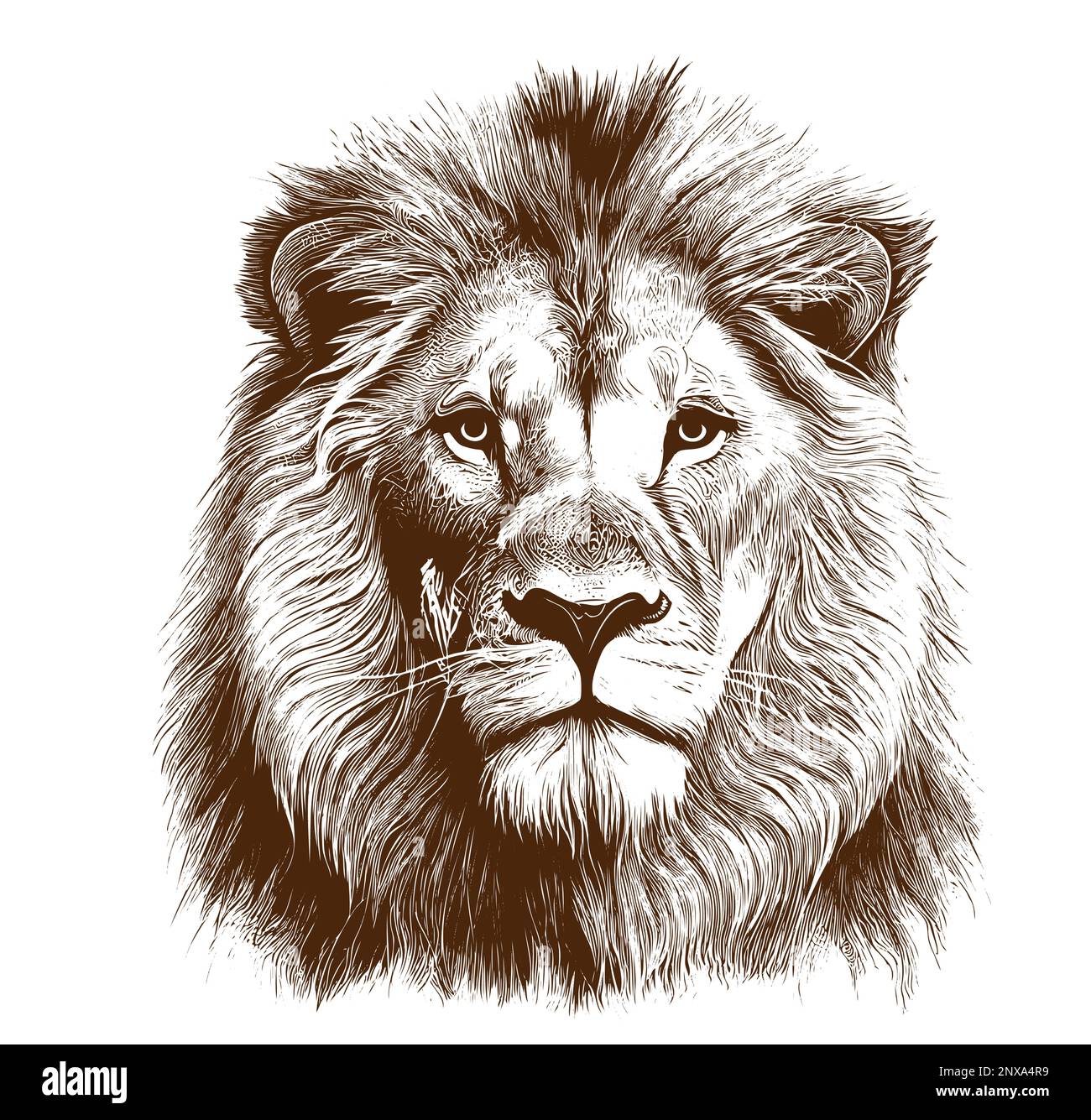 Lion portrait sketch hand drawn in doodle style Vector illustration