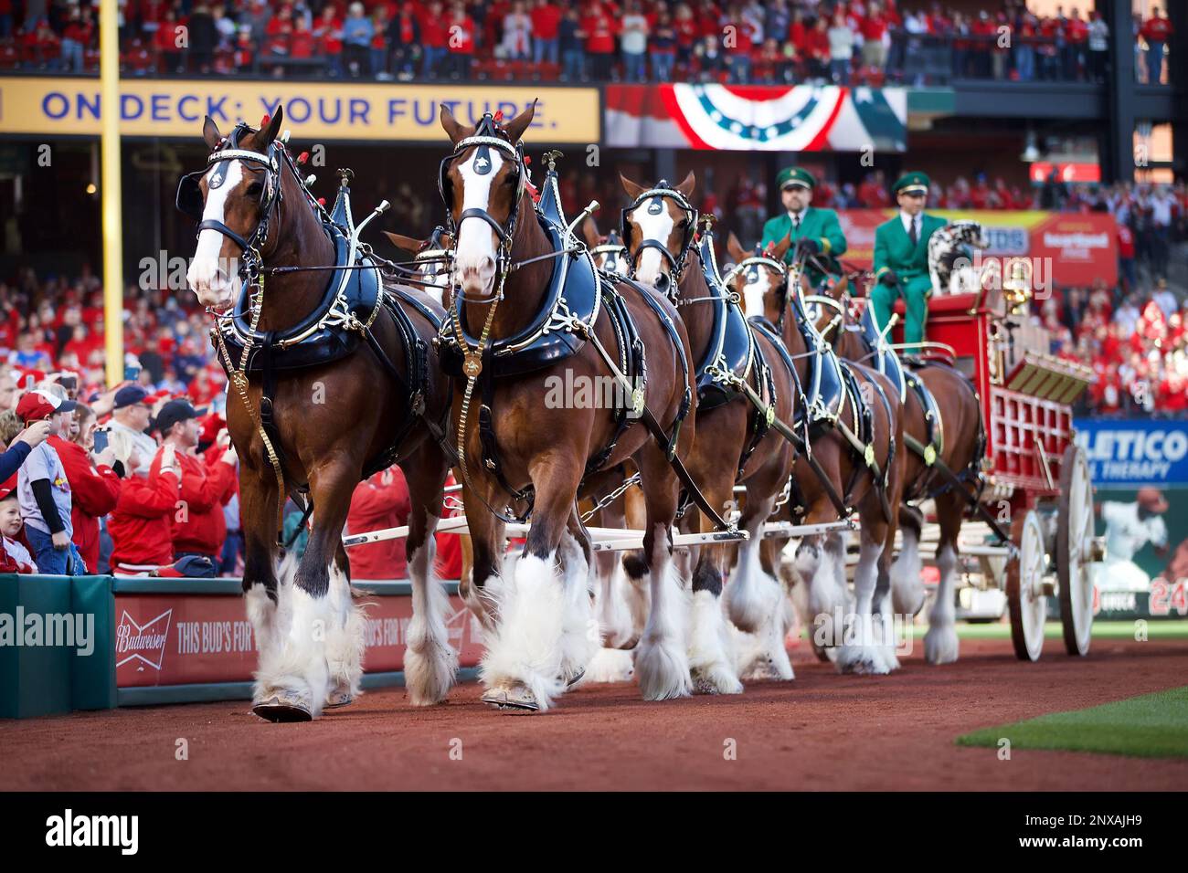 Opening Day In St. Louis - April 5th, 2018