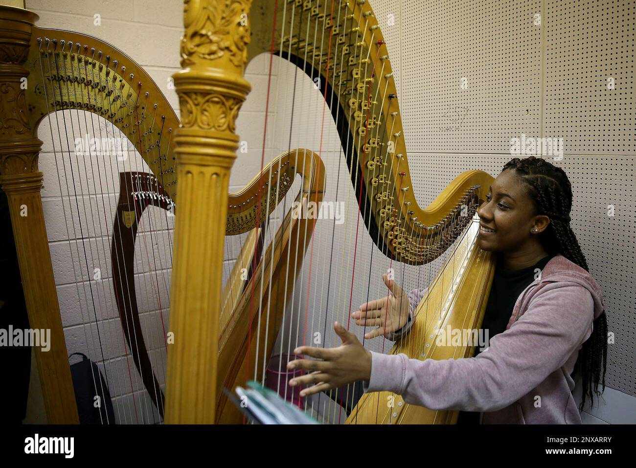 Largest harp outlet