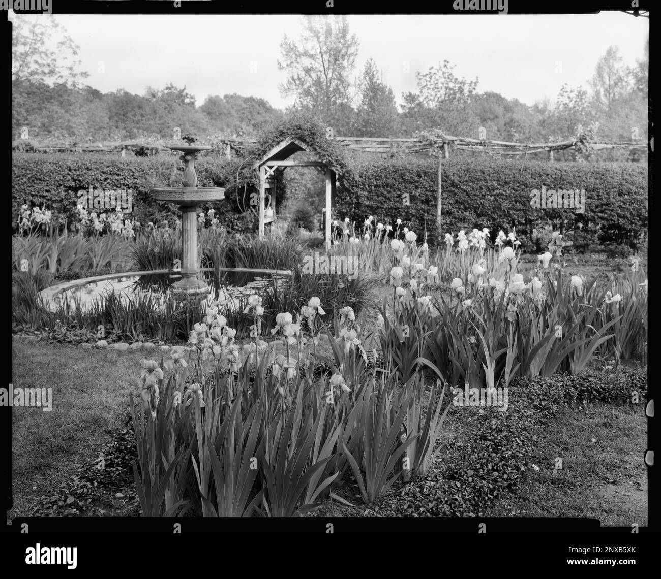 Buckhead Springs, Richmond vic., Henrico County, Virginia. Carnegie Survey of the Architecture of the South. United States  Virginia  Henrico County  Richmond vic, Arbors , Bowers, Lily ponds, Flowers, Gardens. Stock Photo