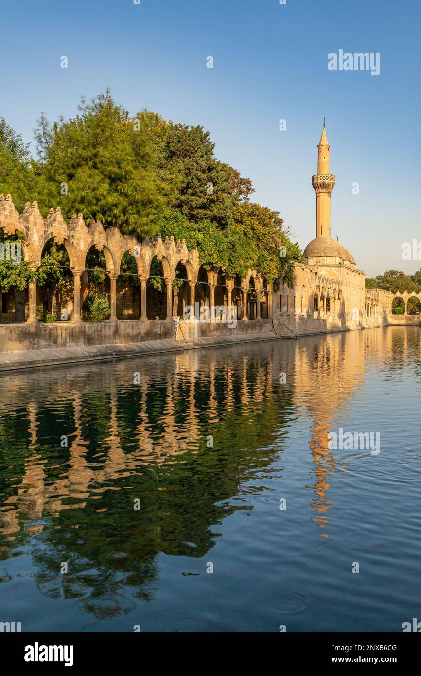 Balıklıgöl (Balık Lake) and Rizvaniye Mosque Landscape in beautiful sunset scenery in Şanlıurfa, Turkey. Stock Photo