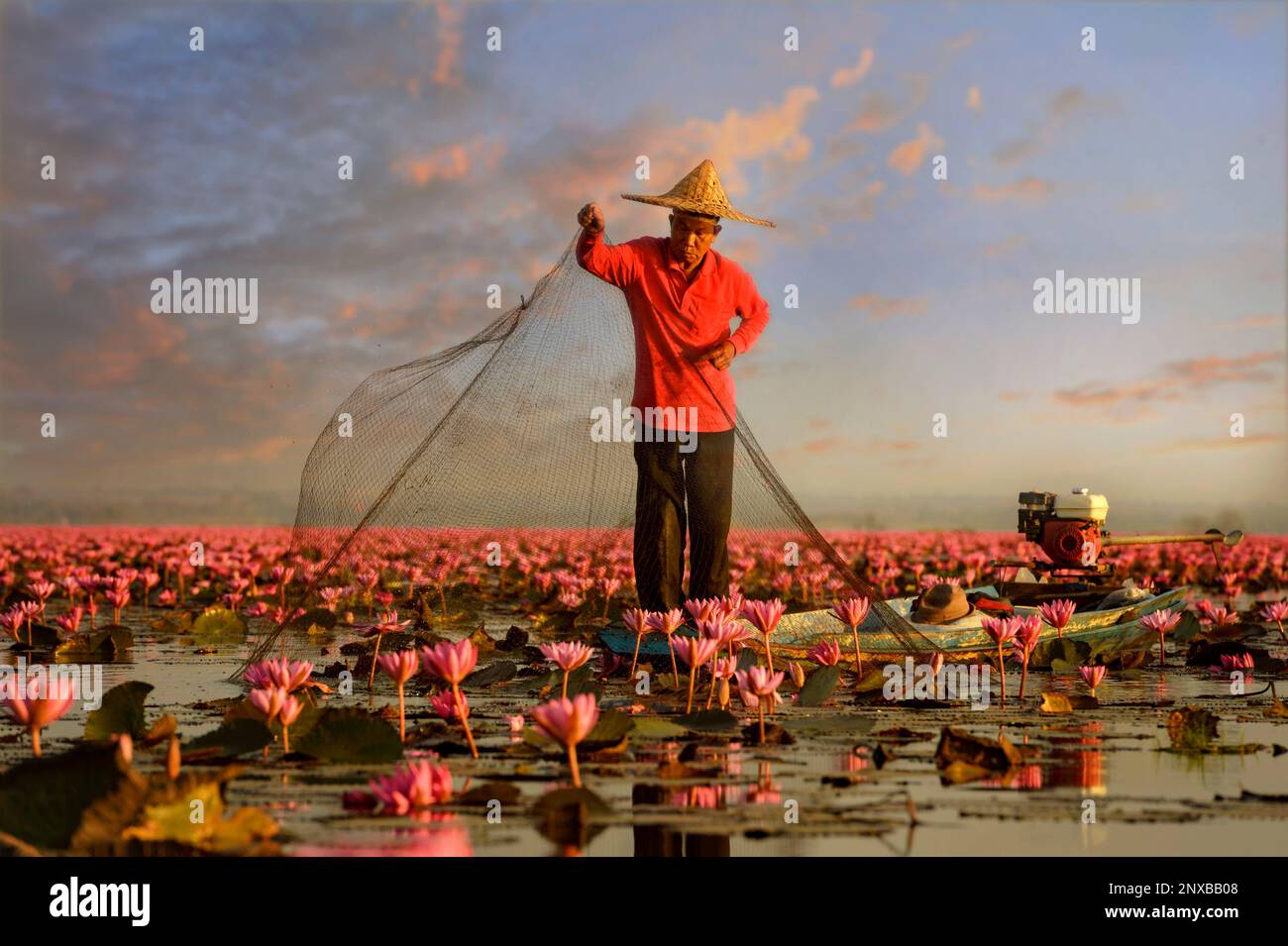 Thai fisherman fishing in Red Lotus lake, Kumphawapi District, Udon Thani Province, Thailand Stock Photo
