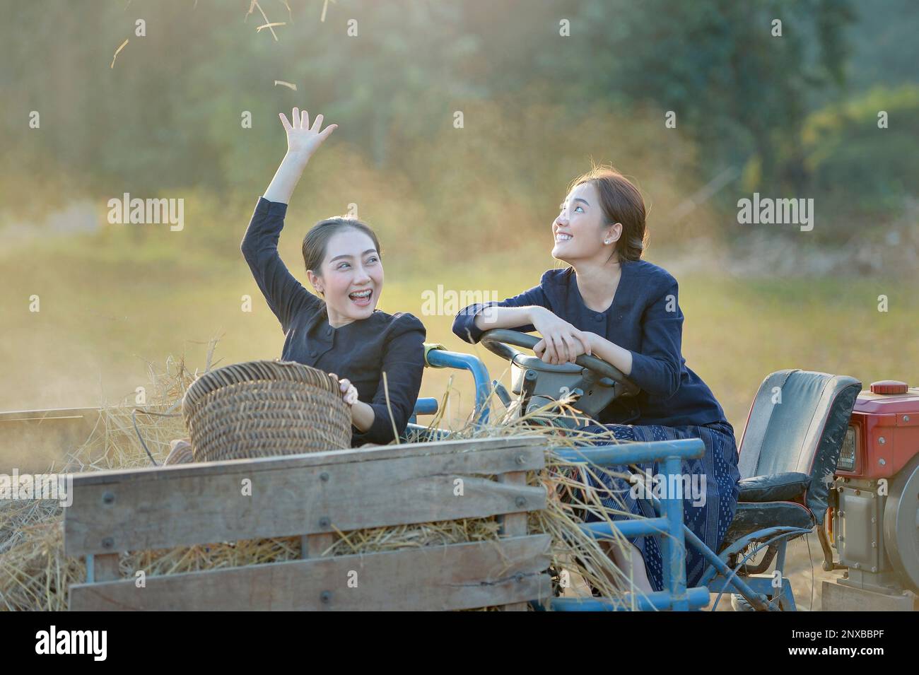 Two smiling women sitting on a tractor in a field throwing straw in the air, Laos Stock Photo