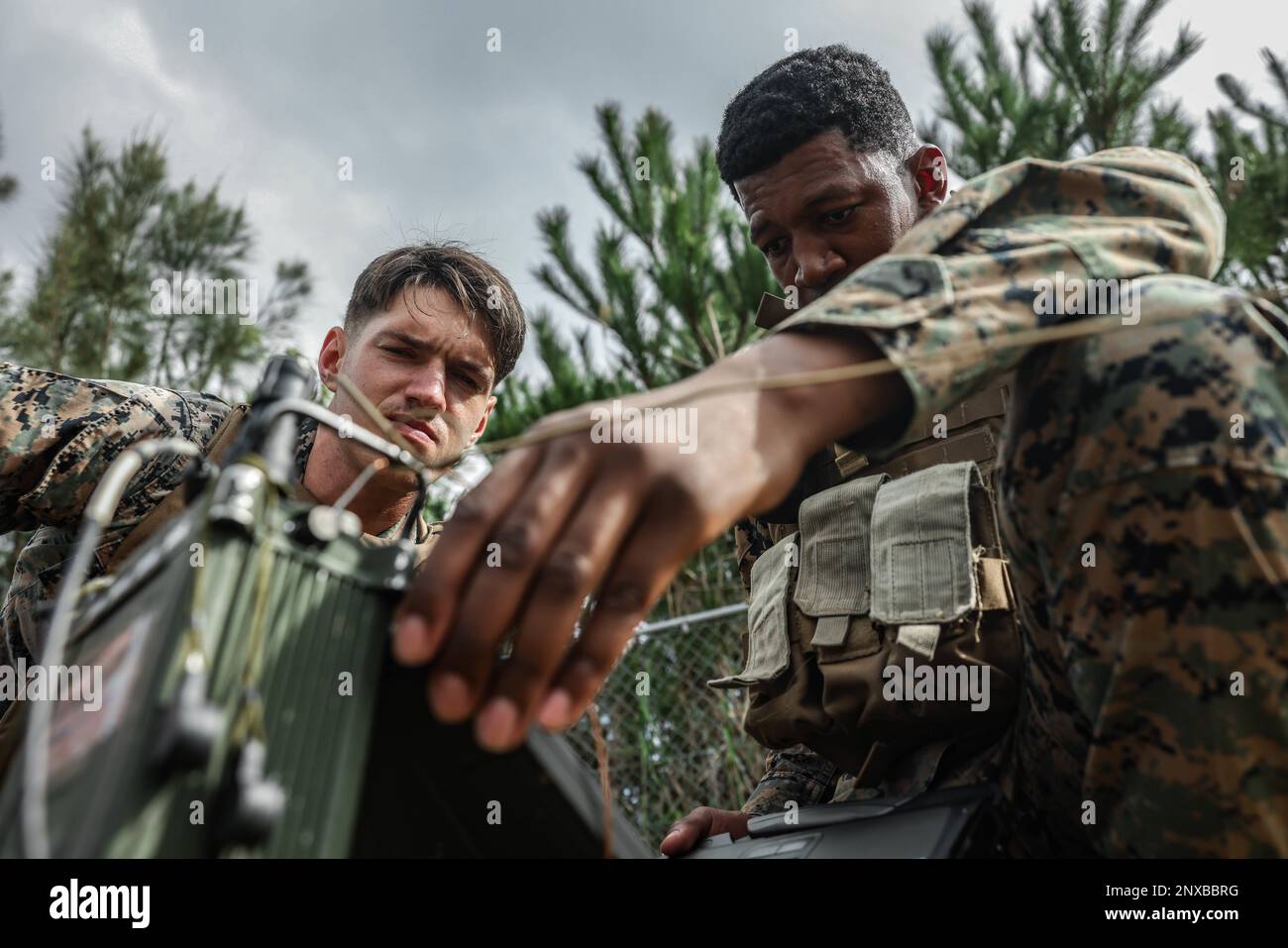 Damonte williams hires stock photography and images Alamy