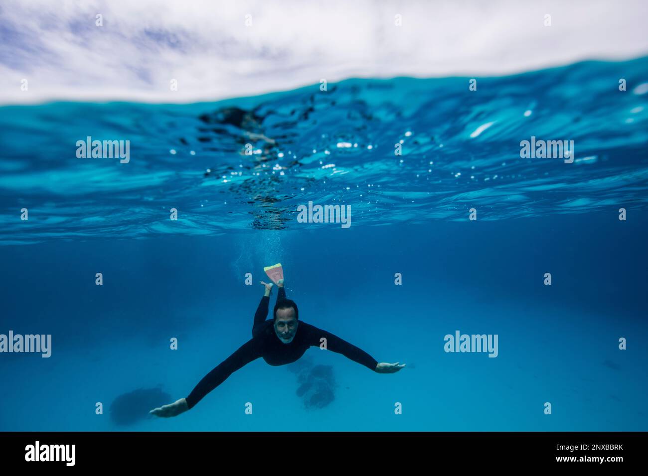 Underwater view of a man swimming, Lady Elliot Island, Great Barrier