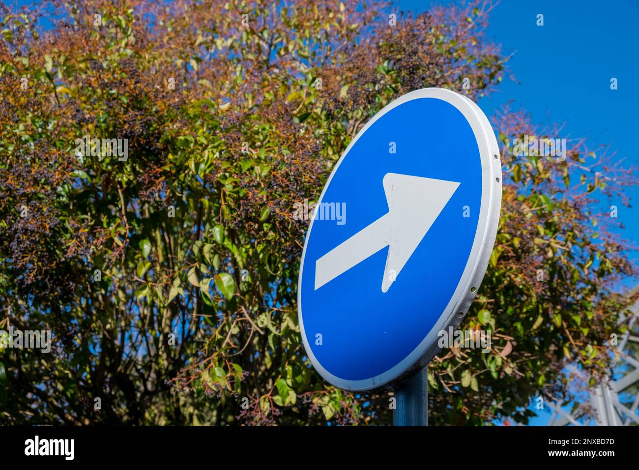 Blue sign with an arrow pointing to the left obligatory direction
