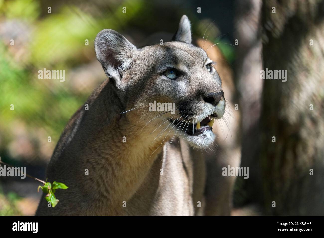 Naples, United States. 28th Feb, 2023. 2/28/23 Naples, Florida Florida