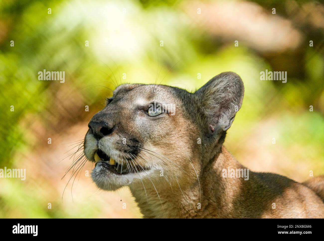 Naples, United States. 28th Feb, 2023. 2/28/23 Naples, Florida Florida