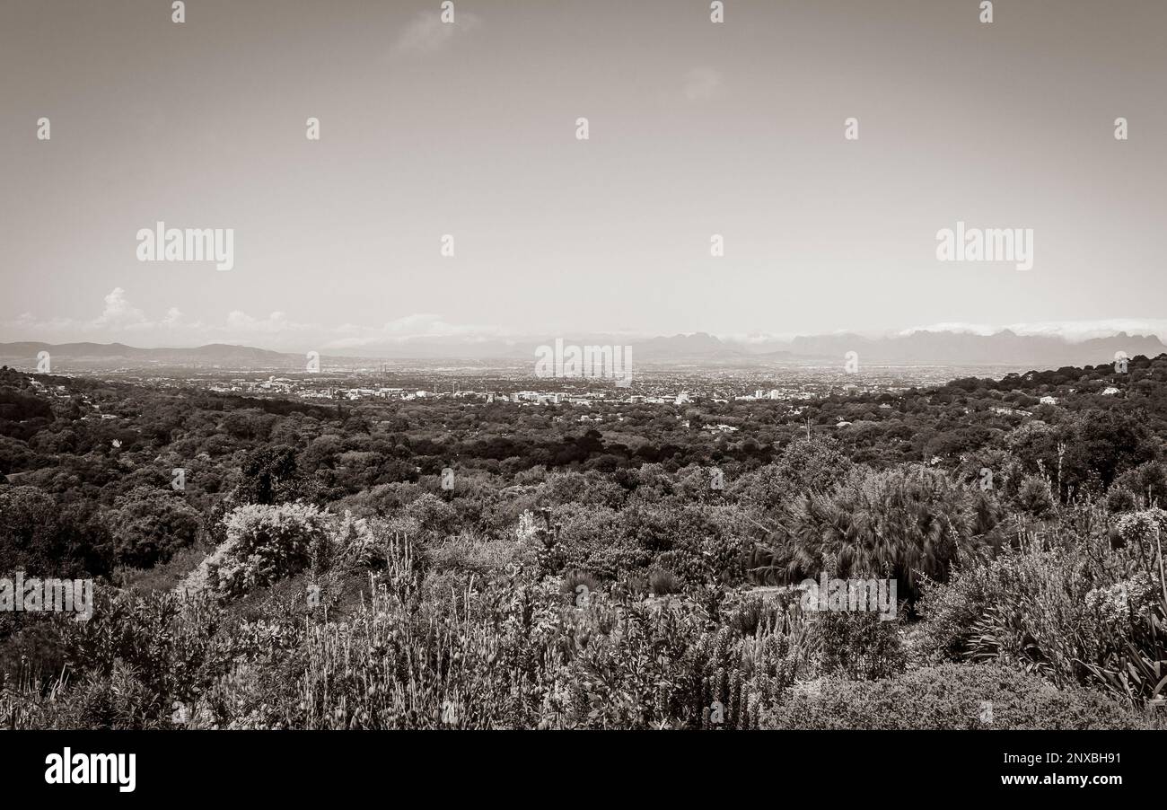 Panoramic view of Cape Town and nature in Kirstenbosch National Botanical Garden, South Africa. Stock Photo