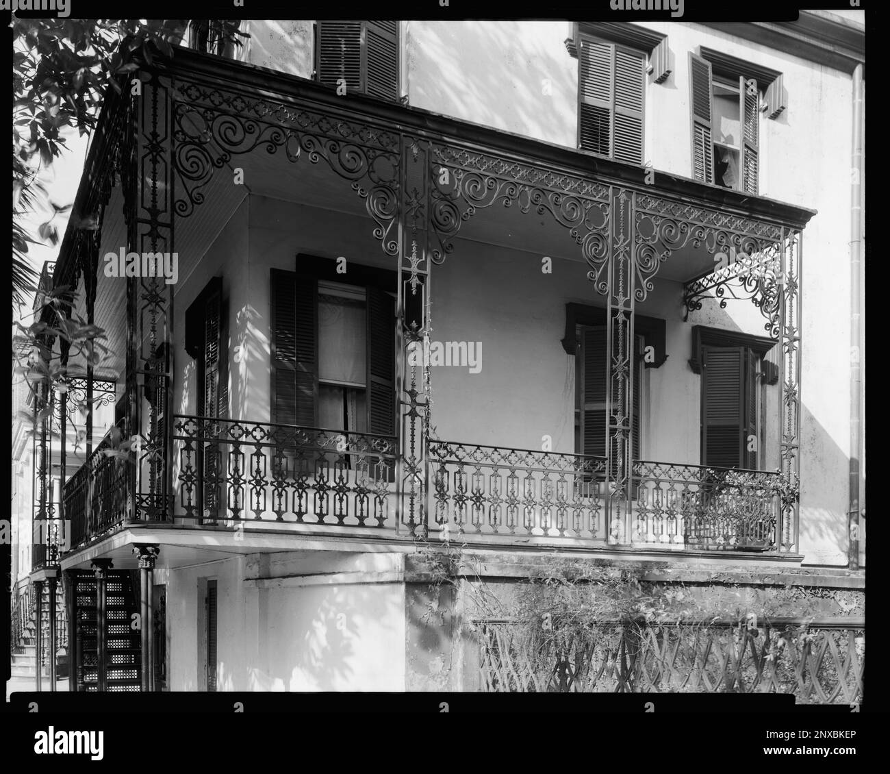 taylor Black and White Stock Photos & Images Alamy