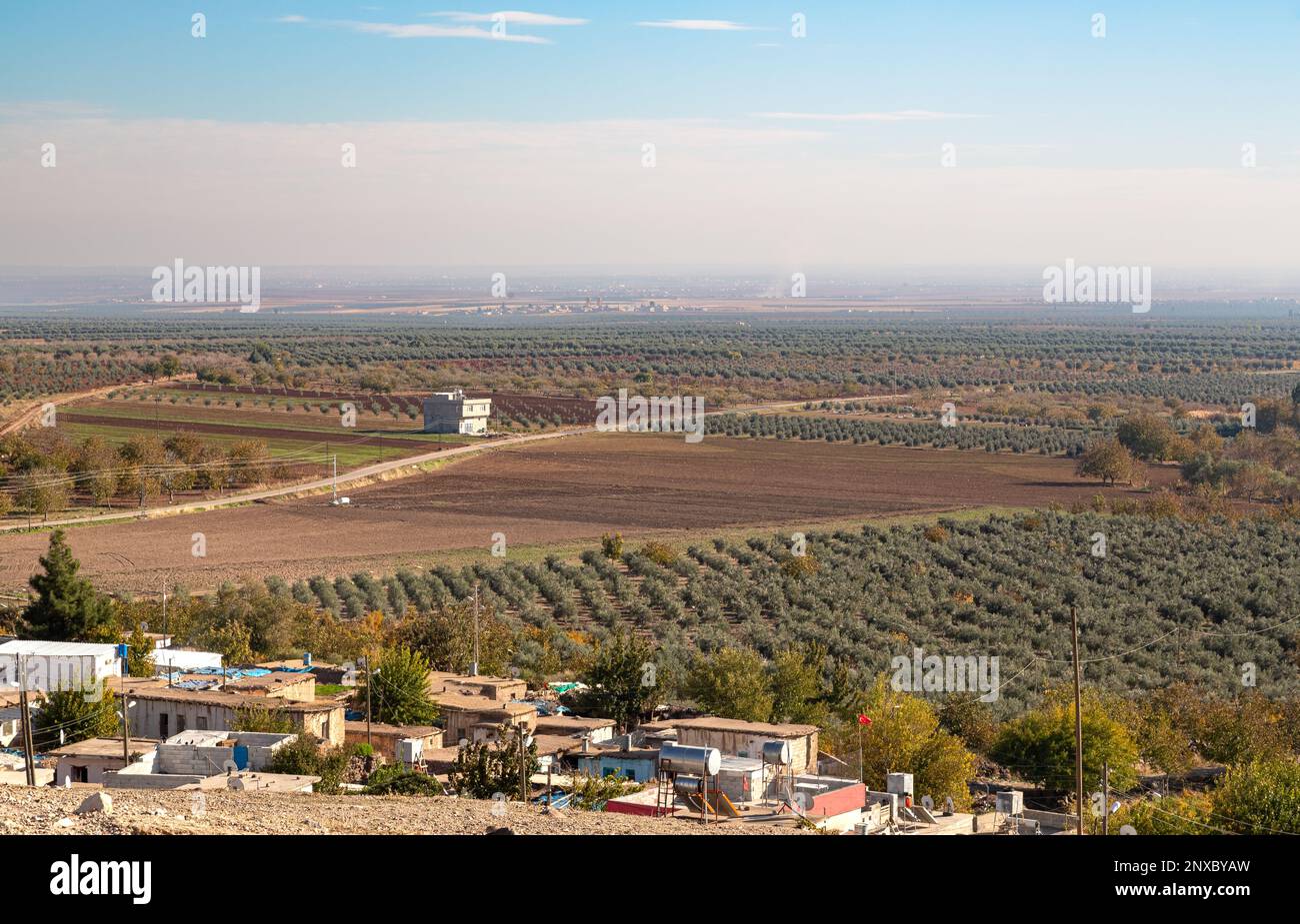 Agricultural lands in the rural part of Kilis, Turkey. Olive tree and pistachio groves and villages on the Syrian border. Kilis, Trukey. Stock Photo