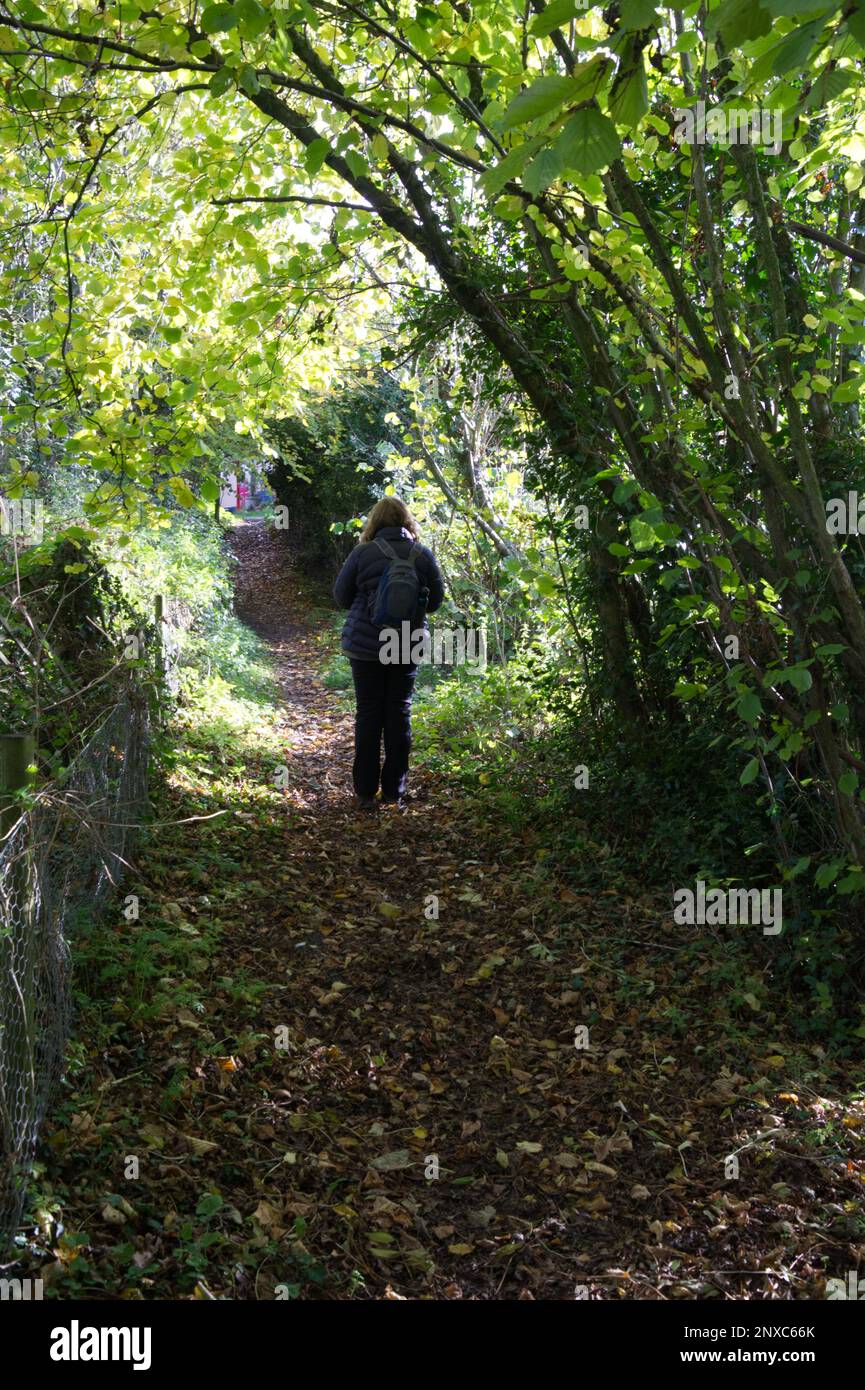 Backview of a woman walking down a country track in Norfolk, East Anglia, England, UK Stock Photo