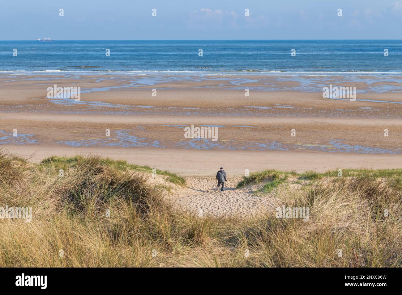 Old man walking on beach hi-res stock photography and images - Alamy