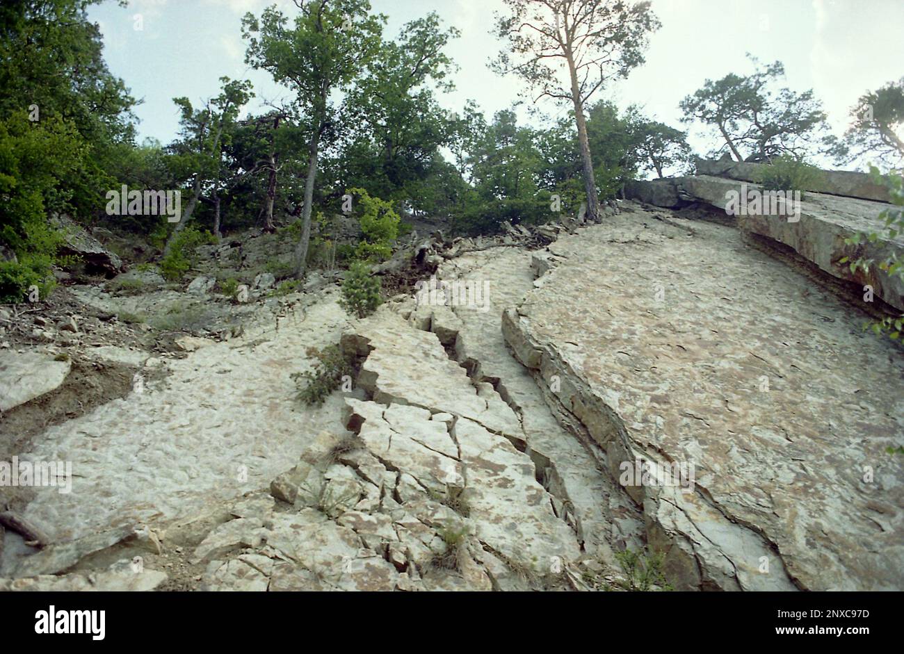Cracked rocks on a mountainside at high altitude in Buzăului Mountains ...