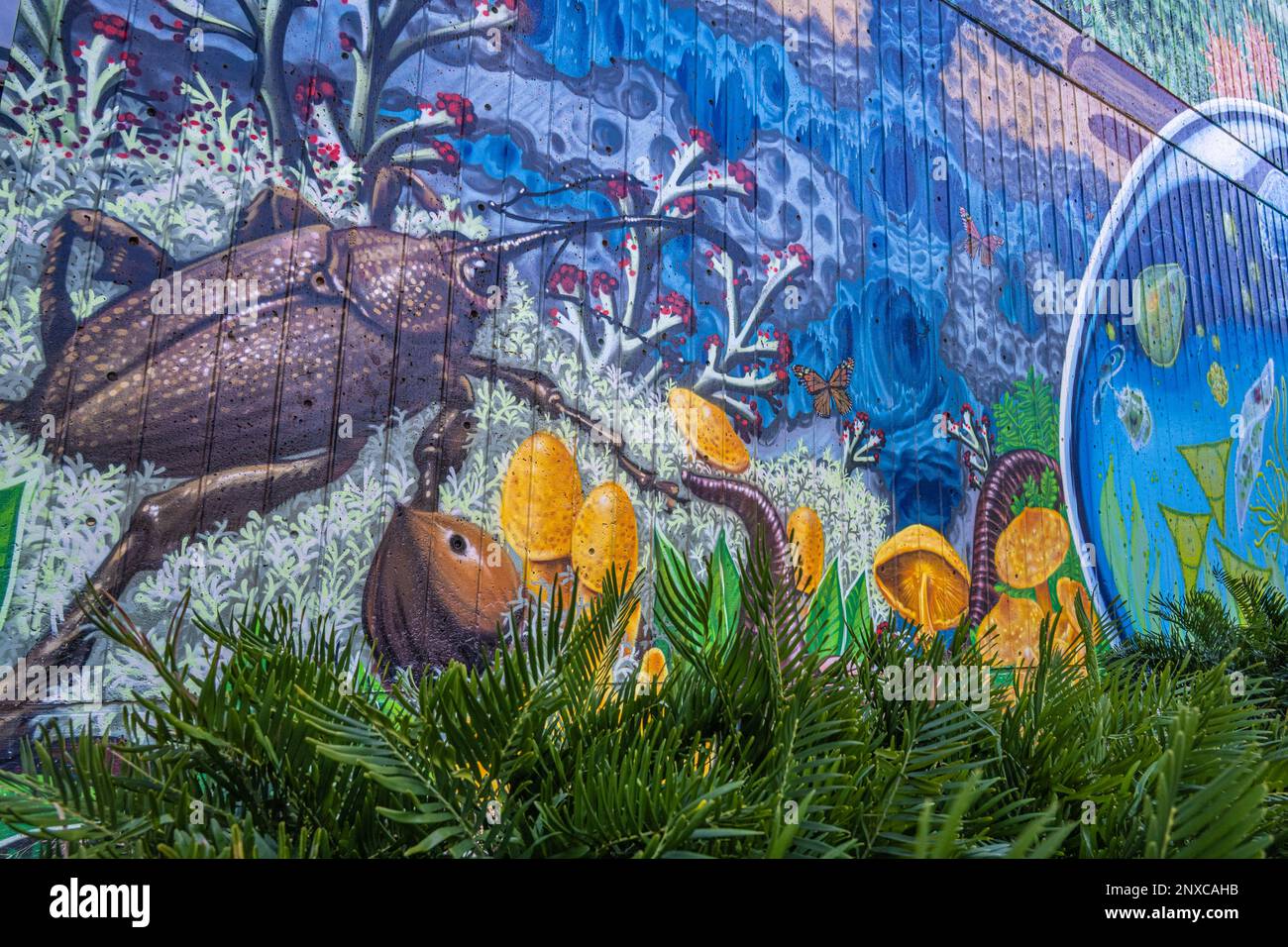 Painted wall mural by Shaun Thurston at MOSH (Museum of Science & History) in downtown Jacksonville, Florida. (USA) Stock Photo