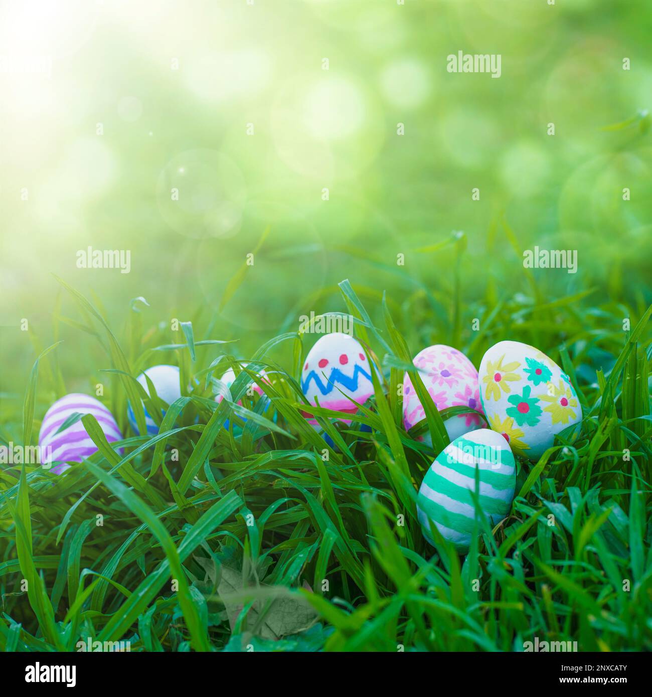 Colorful Easter eggs arranged on the grass with a bokeh background for customizable text. This festive image is perfect for Easter greetings or social Stock Photo