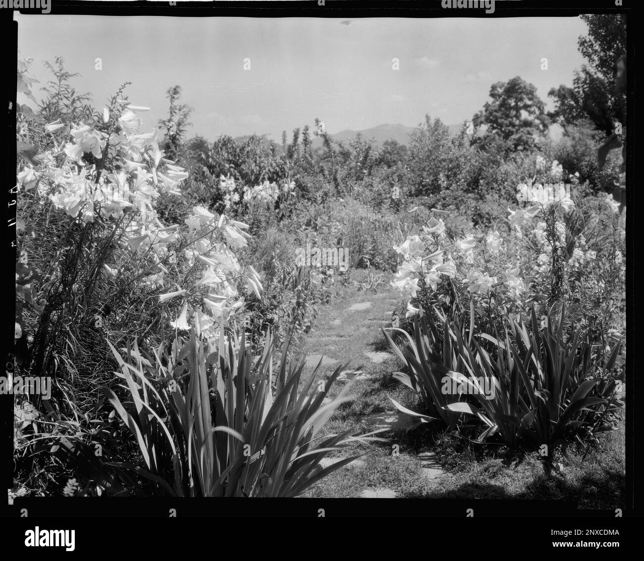 Martha's Farm, Lynchburg, Campbell County, Virginia. Carnegie Survey of