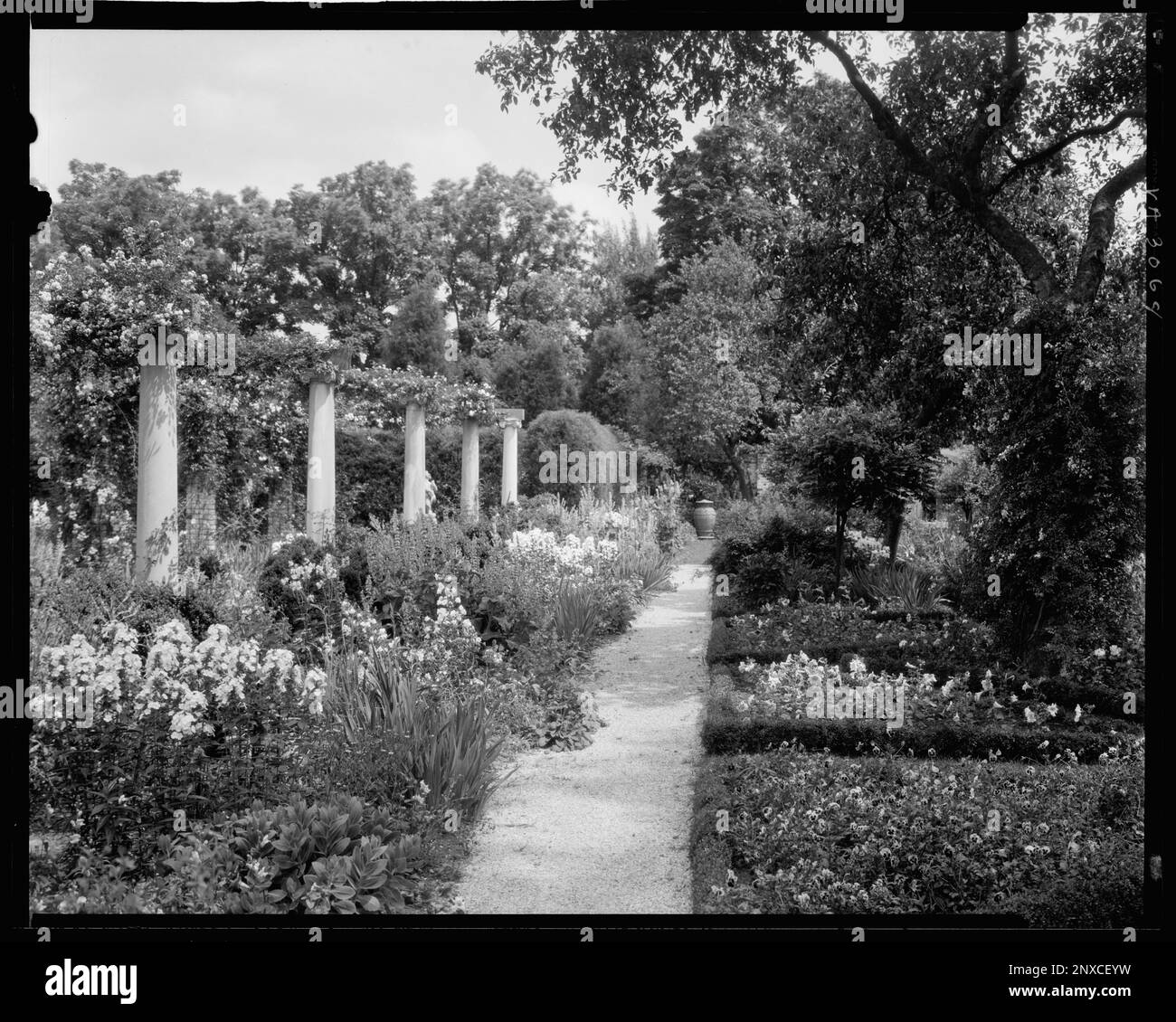 Chatham, Fredericksburg vic., Stafford County, Virginia. Carnegie Survey of the Architecture of the South. United States  Virginia  Stafford County  Fredericksburg vic, Trails & paths, Arbors , Bowers, Gardens, Estates. Stock Photo