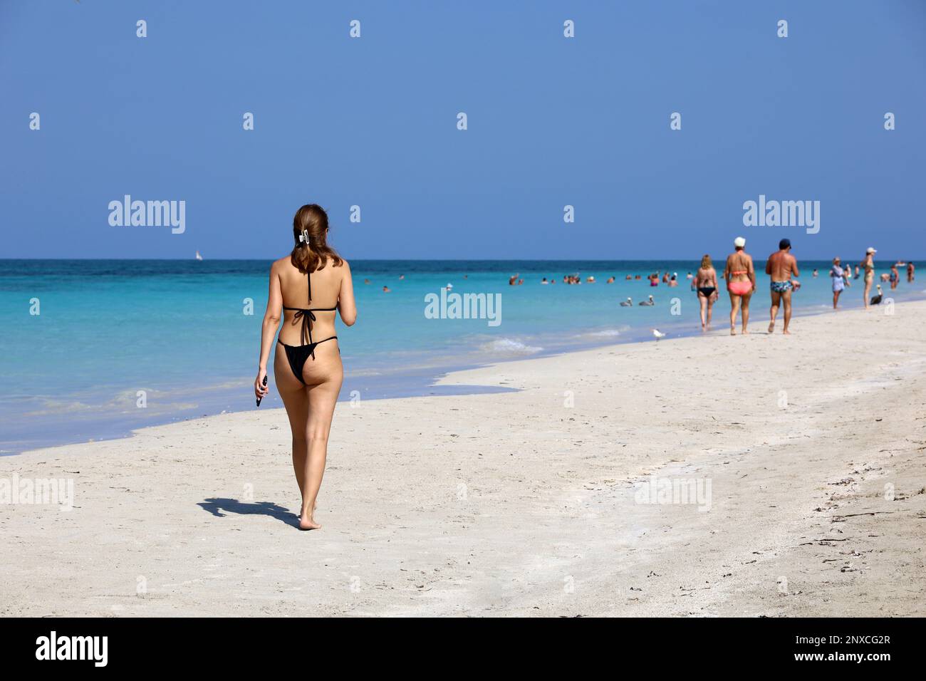 Young woman in thong bikini hi-res stock photography and images - Alamy
