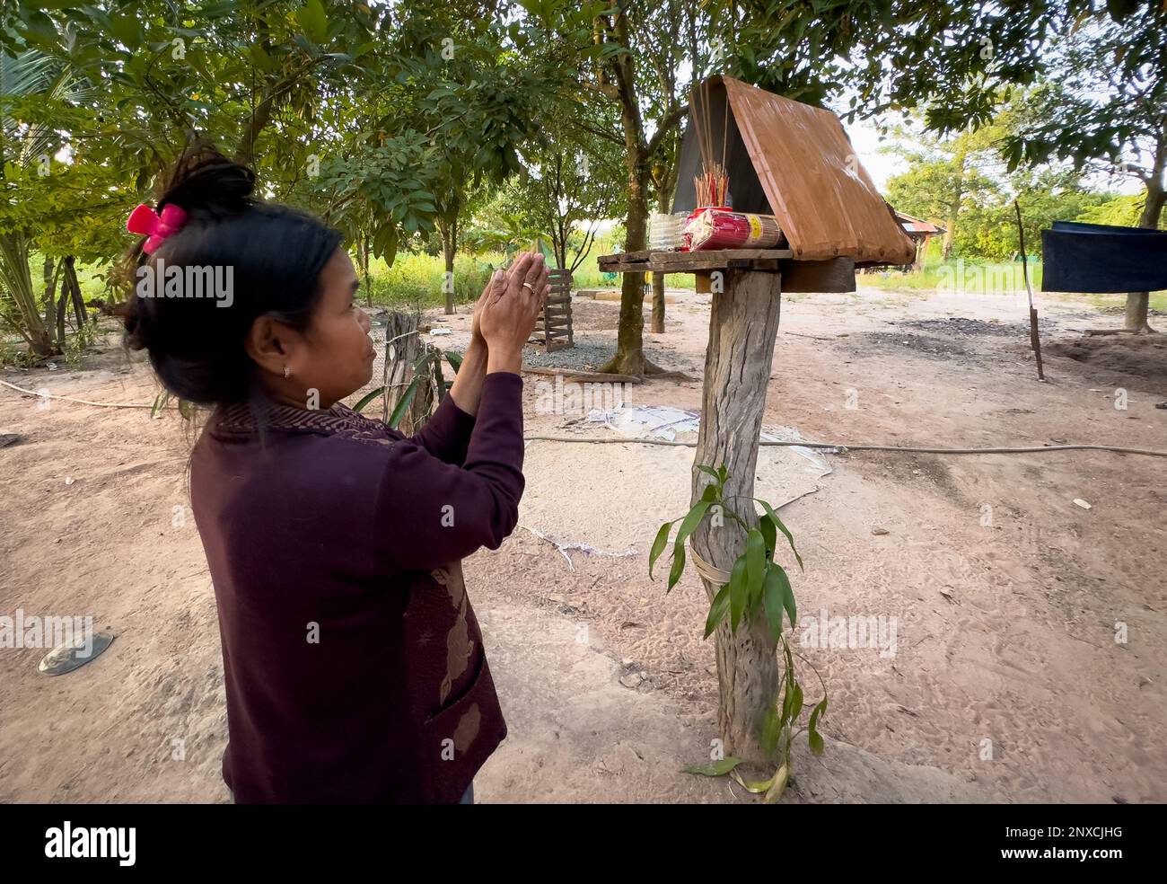A buddhist woman in a rural village in Siem Reap province, Cambodia, prays at the family Buddhist shrine next to her home. Stock Photo