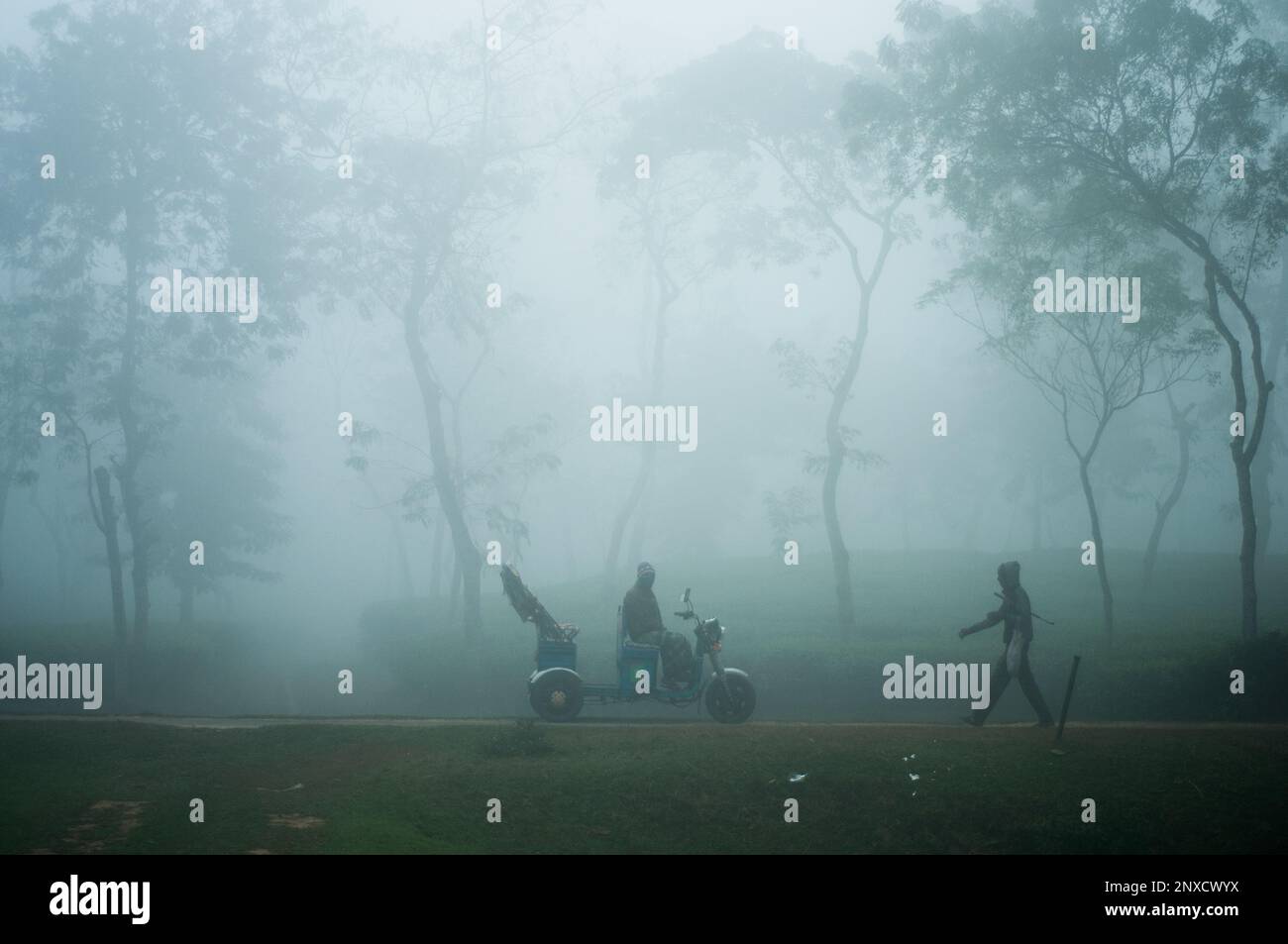 Sylhet, Bangladesh - 26 December 2022: Foggy winter morning view in Sylhet, Bangladesh. Stock Photo