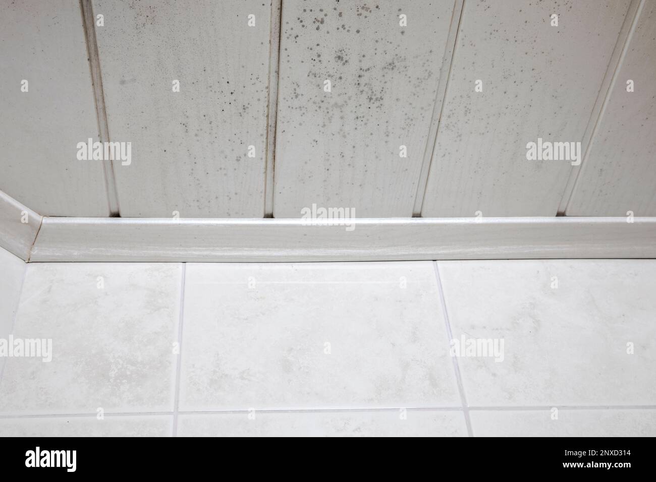 Start of mold buildup on bathroom ceiling, still with simple cleaning