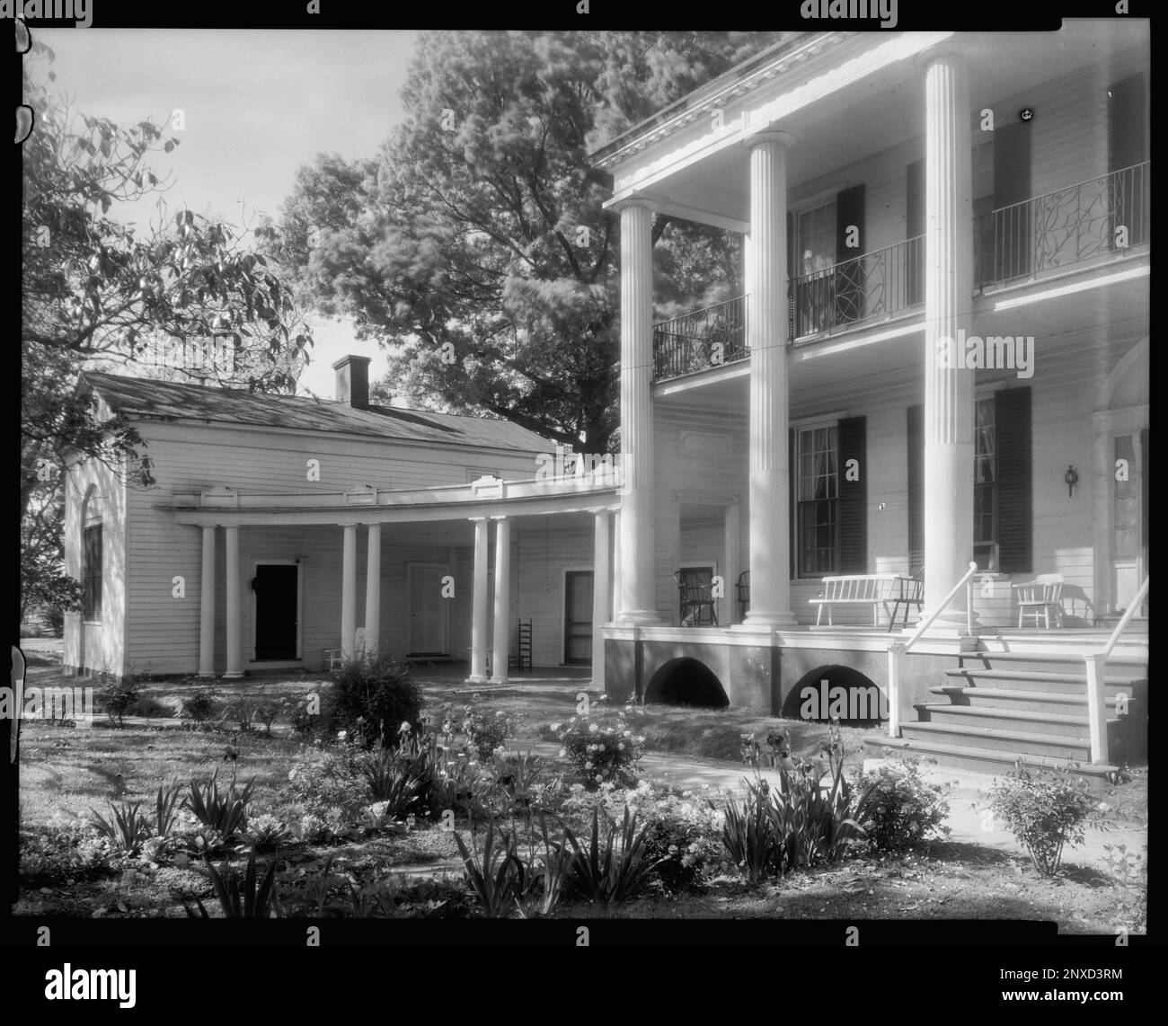 Hayes, Edenton vic., Chowan County, North Carolina. Carnegie Survey of