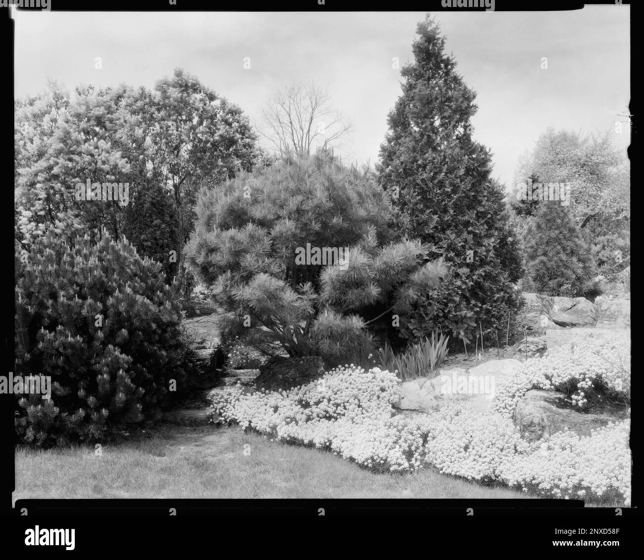 Scalesby, Boyce vic., Fauquier County, Virginia. Carnegie Survey of the