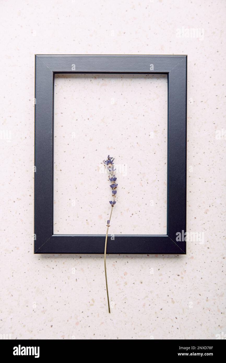 Empty interior black wall frame mockup, template with lavender. Aesthetic minimalist eco-friendly concept background. Stock Photo