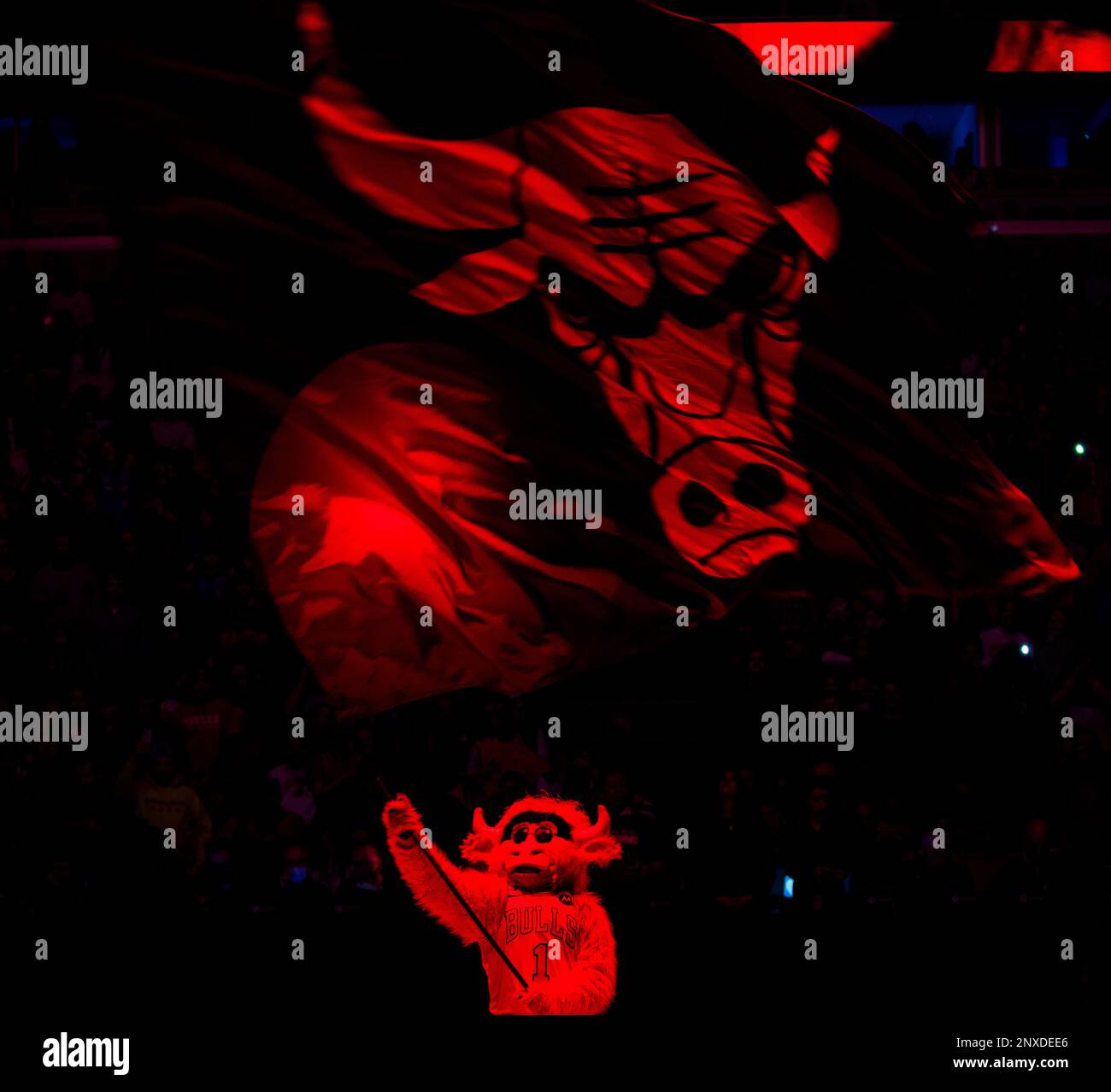 Benny the Bull, the Chicago Bulls mascot, hoists the Chicago Bulls