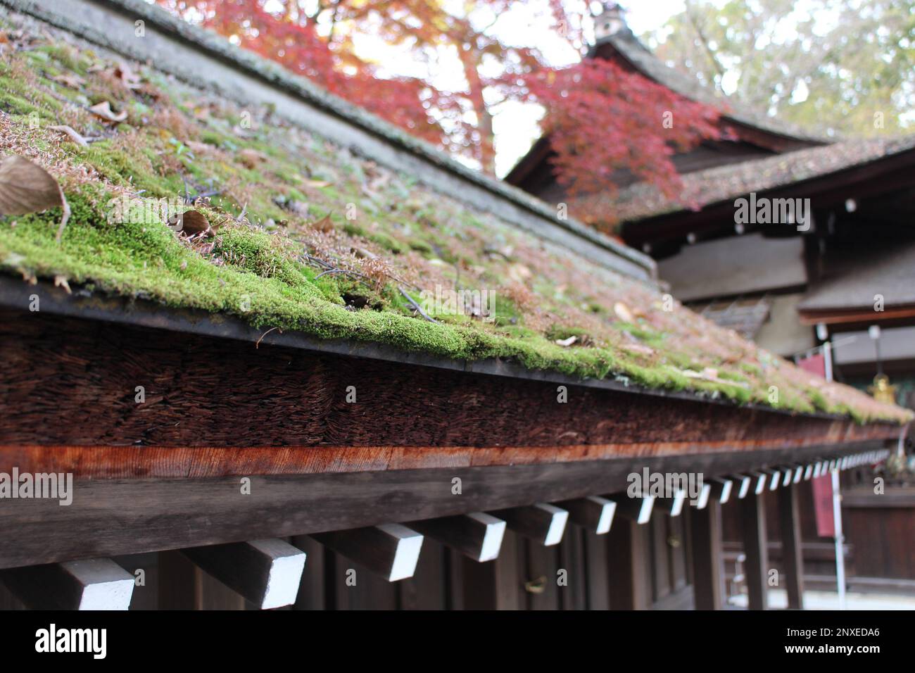 Shimogamo hi-res stock photography and images - Alamy