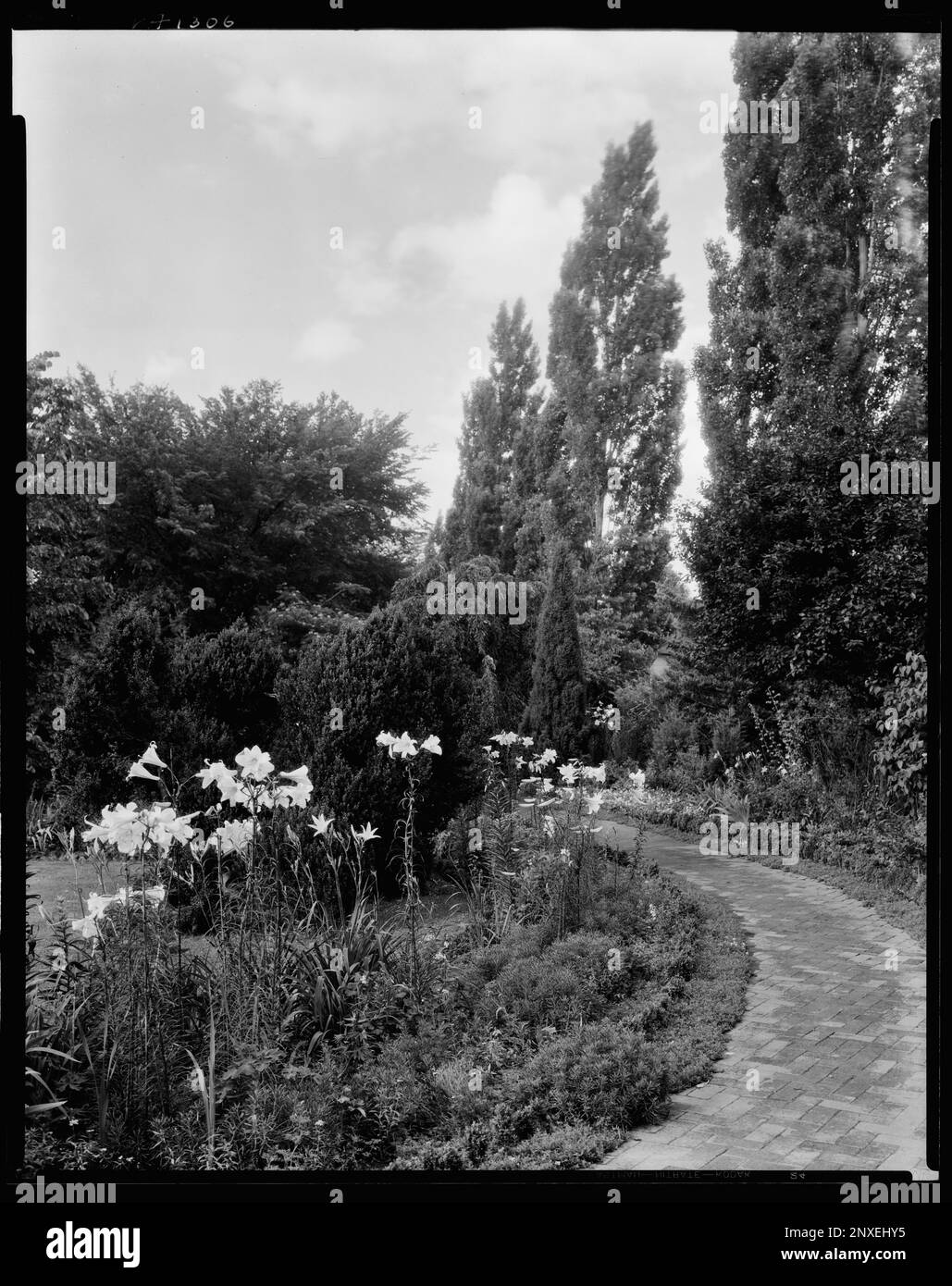 Rose Hill, Greenwood, Albemarle County, Virginia. Carnegie Survey of the Architecture of the South. United States  Virginia  Albemarle County  Greenwood, Trails & paths, Gardens. Stock Photo