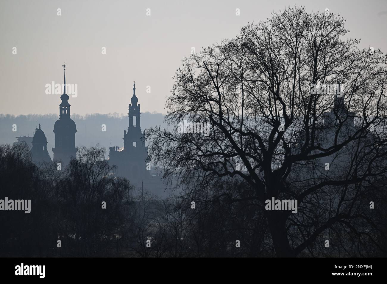 Dresden, Germany. 01st Mar, 2023. Behind trees on the banks of the Elbe in the Johannstadt district, the old town can be seen in the afternoon with the Hausmannsturm (l), the Hofkirche and the State Chancellery (r) on the Neustadt side. Credit: Robert Michael/dpa/Alamy Live News Stock Photo