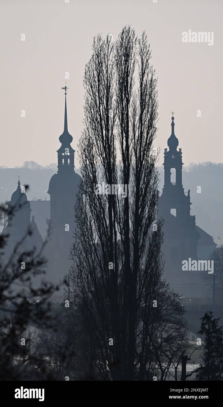 Dresden, Germany. 01st Mar, 2023. Behind a tree on the banks of the Elbe in the Johannstadt district, the old town with the Hausmannsturm (l) and the Hofkirche can be seen in the afternoon. Credit: Robert Michael/dpa/Alamy Live News Stock Photo