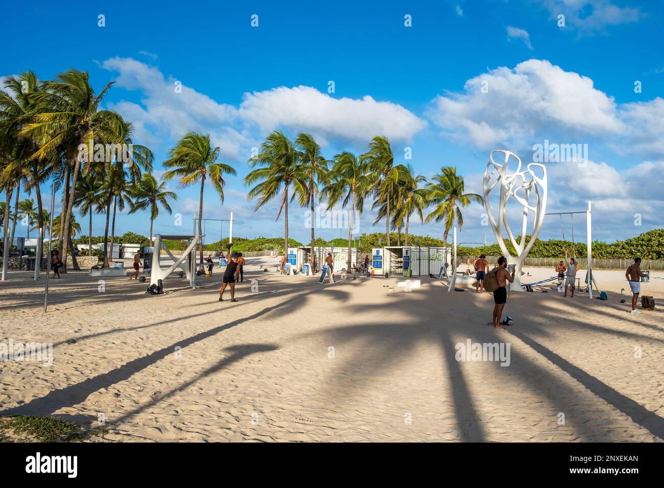 People exercising at Lummus Park on Miami Beach  Stock Photo