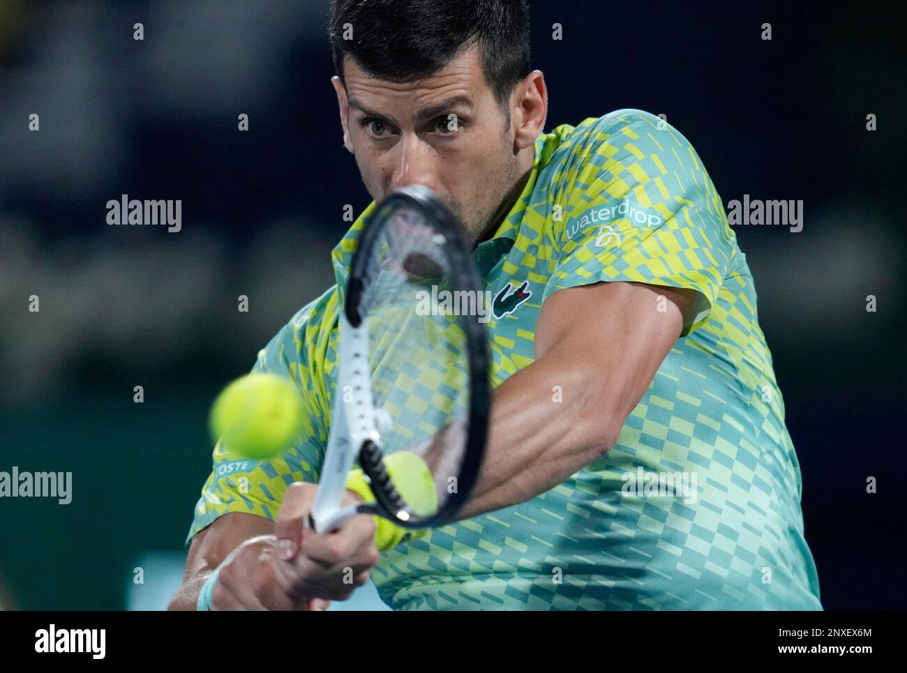 DJOKOVIC vs GRIEKSPOOR, Dubai Championships 2023