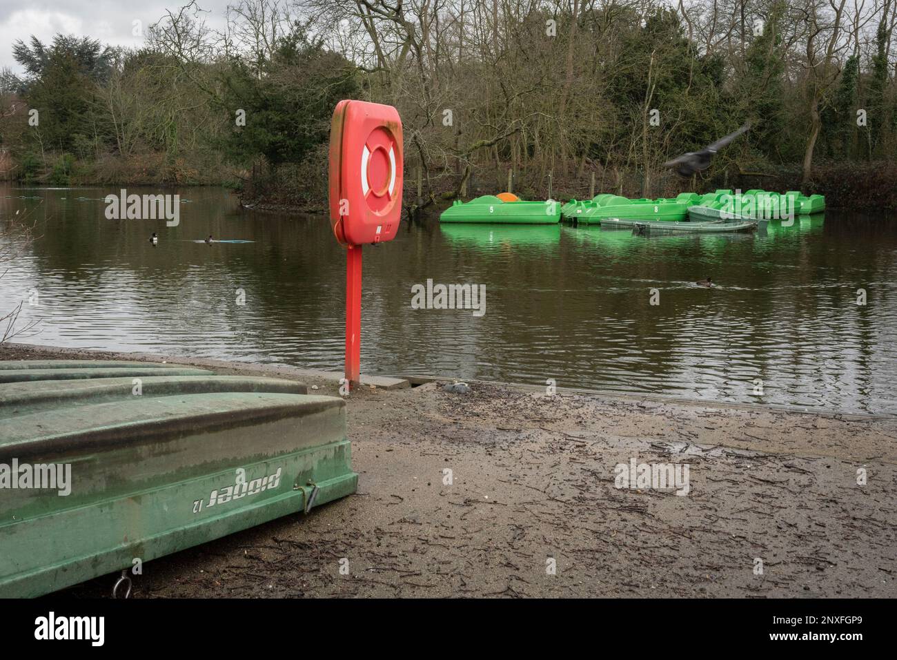 Newer pedalos are seen across the lake from a lifebuoy and an older boat in Dulwich Park, Southwark, on 22nd February 2023, London, England. Stock Photo