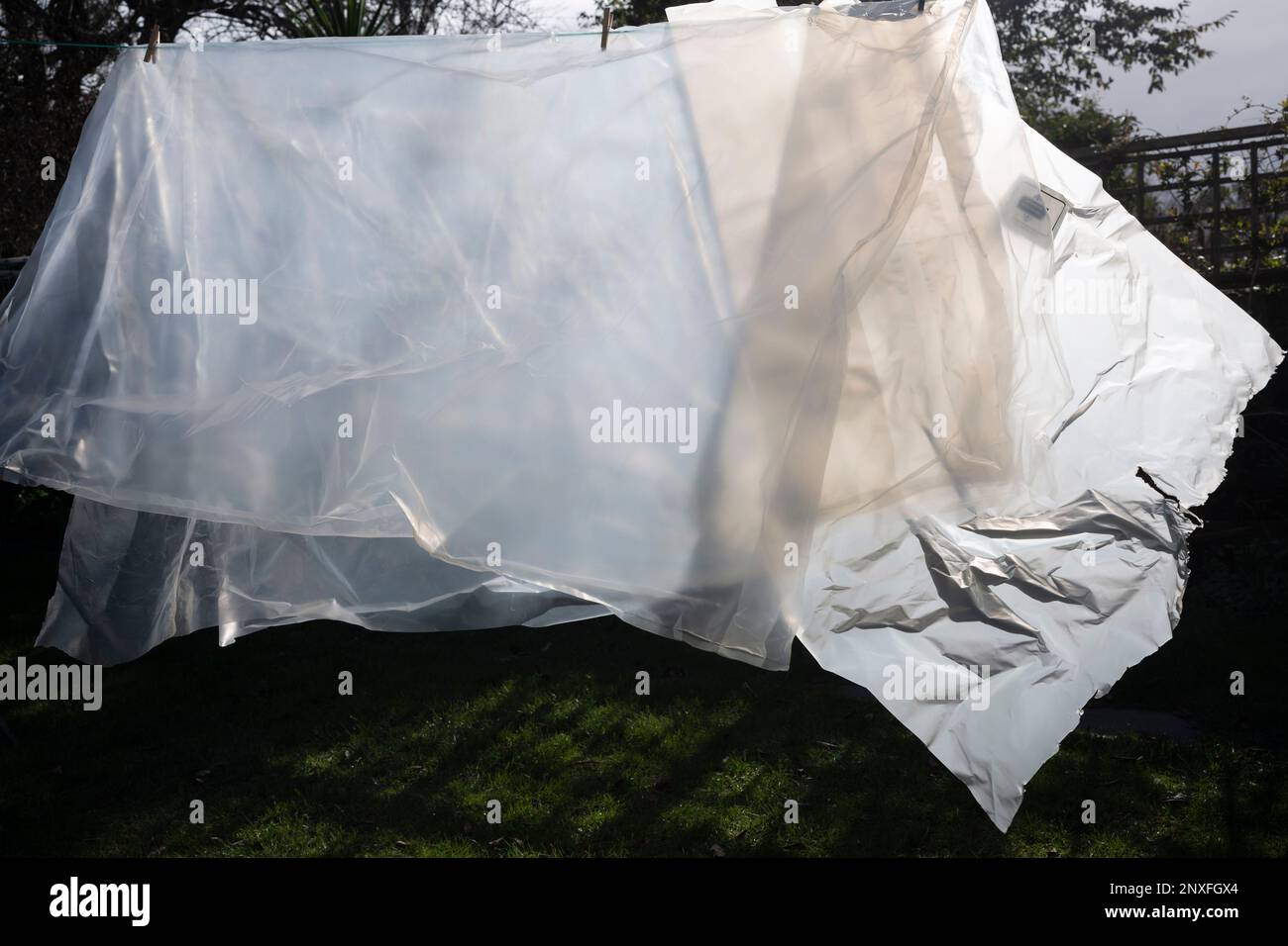 Plastic sheeting that's been pegged to a washing line for airing, has the appearance of an animal or beast of some some description - possibly a lion or other big cat - in a south London back garden, on 25th February 2023, in London, England. Stock Photo