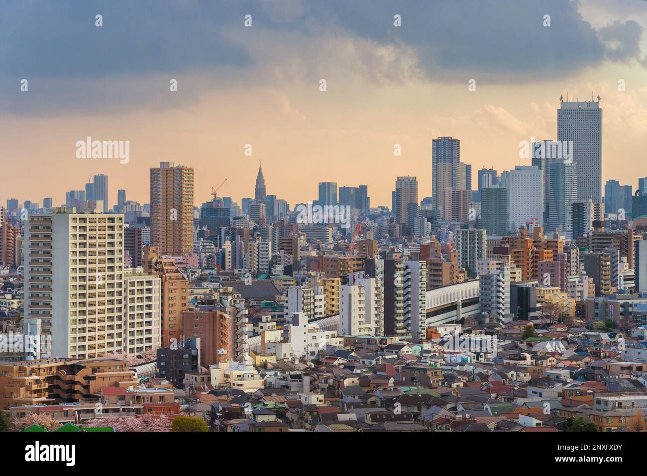 View of Tokyo skyline from Oji Observation Lobby Stock Photo - Alamy