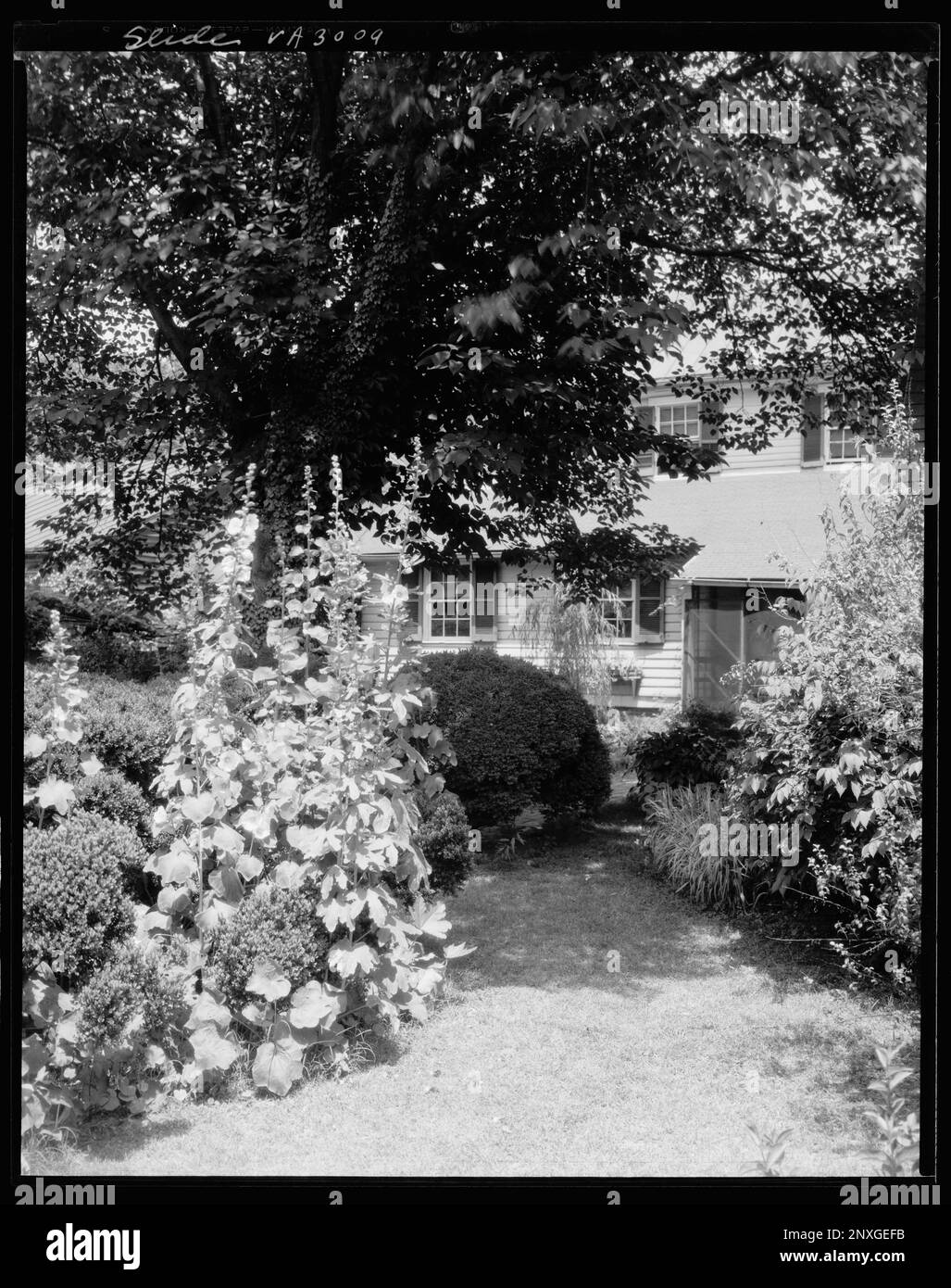 Mary Washington house, Fredericksburg, Virginia. Carnegie Survey of the