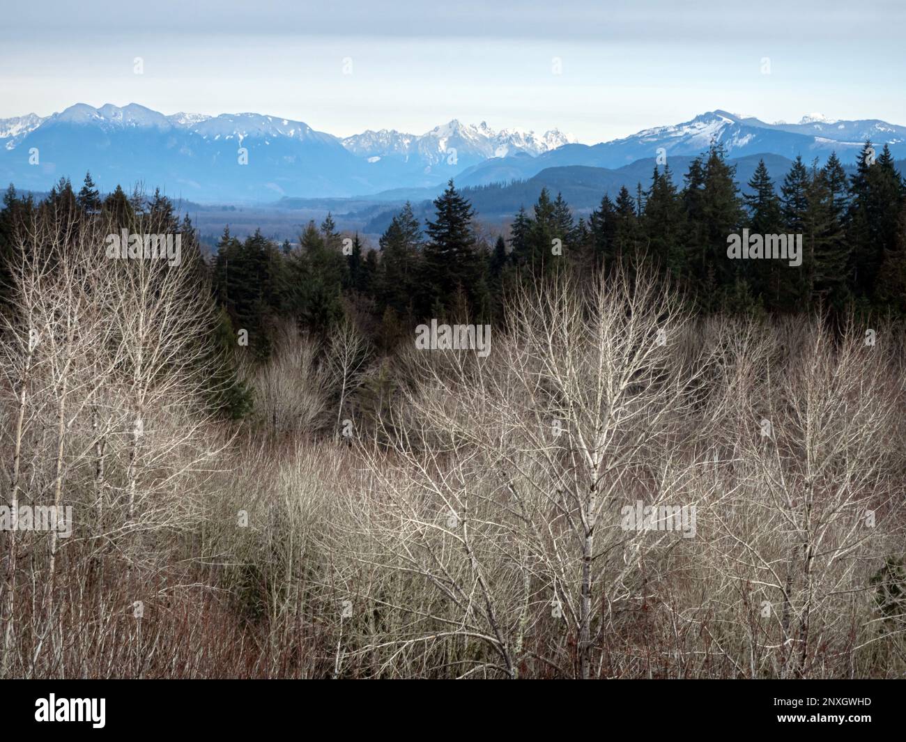WA23164-00...WASHINGTON - View east, up the Skykomish River Valley to the Cascade Mountain Range from viewpoint in Lord Hill Regional Park. Stock Photo